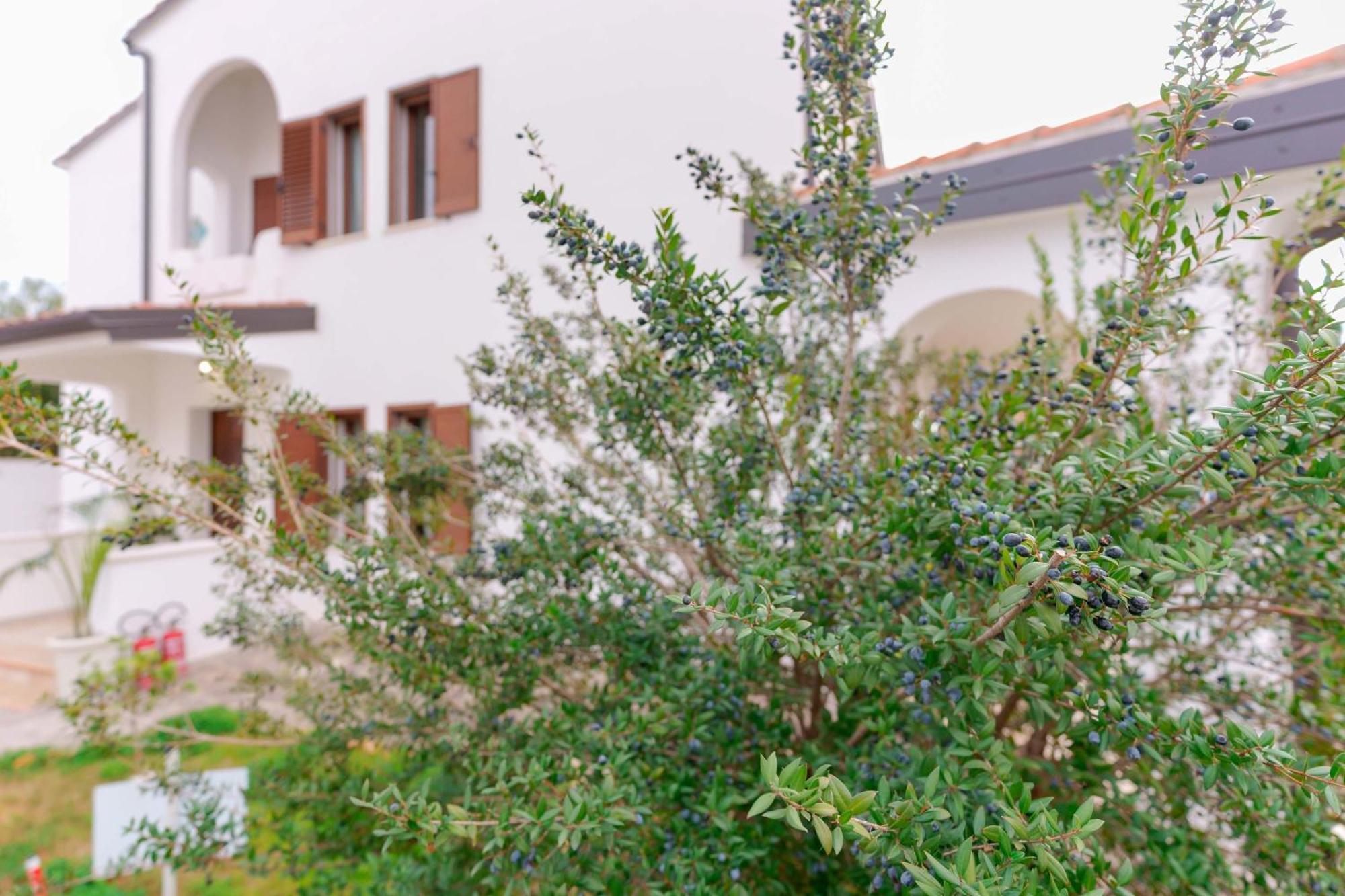 Villa Wunjo Iun R3267 La Maddalena  Dış mekan fotoğraf